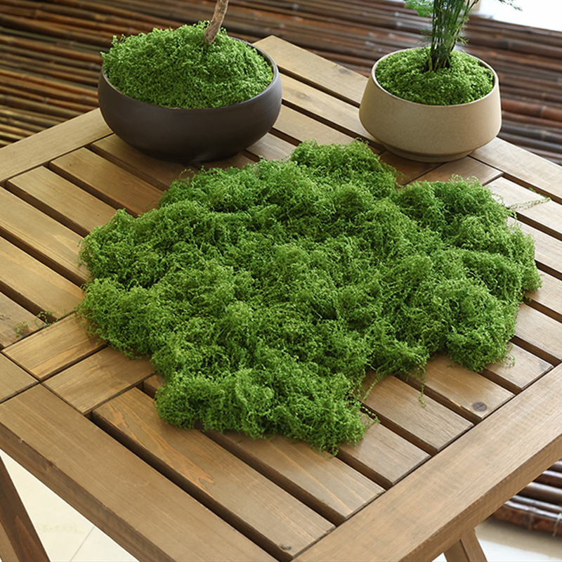 about 20g Artificial Green Pla - огляд і ціна Terrarium Moss Art