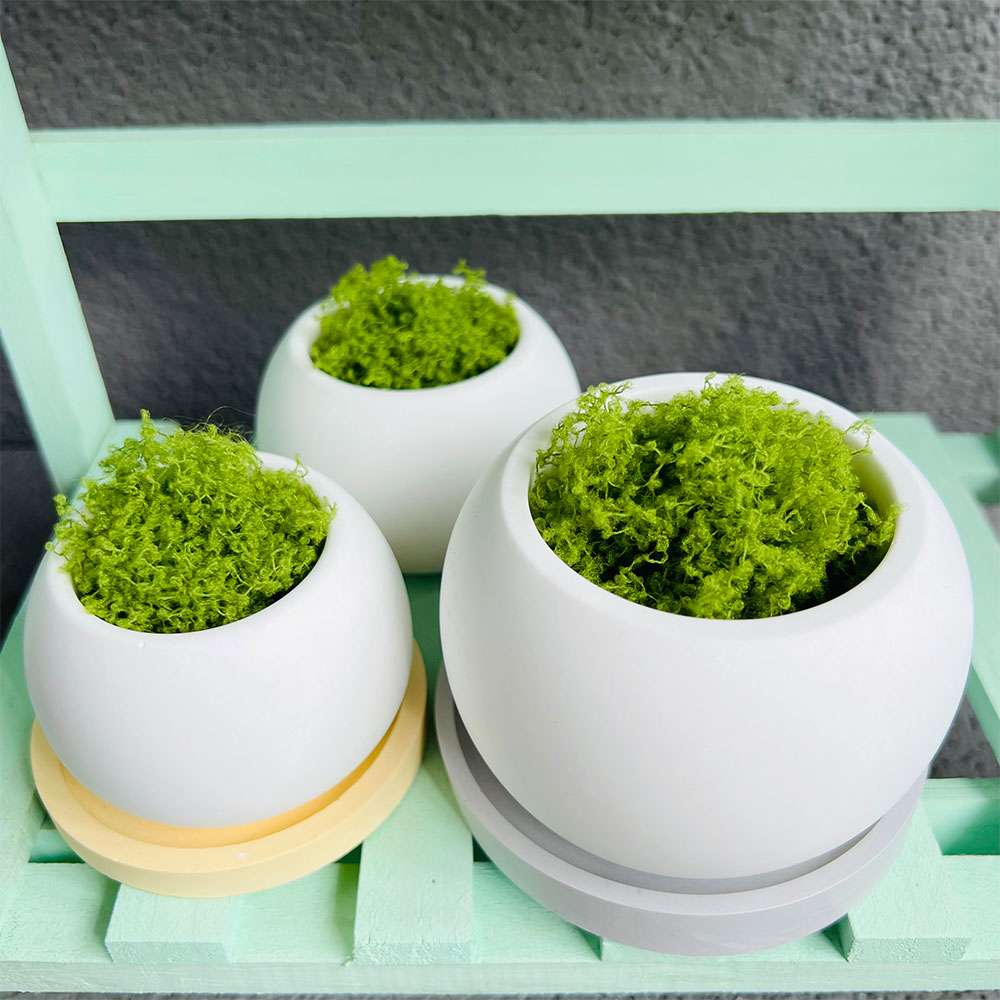 Spherical Flowerpot Silicone M - огляд і ціна Serving Tray Mold