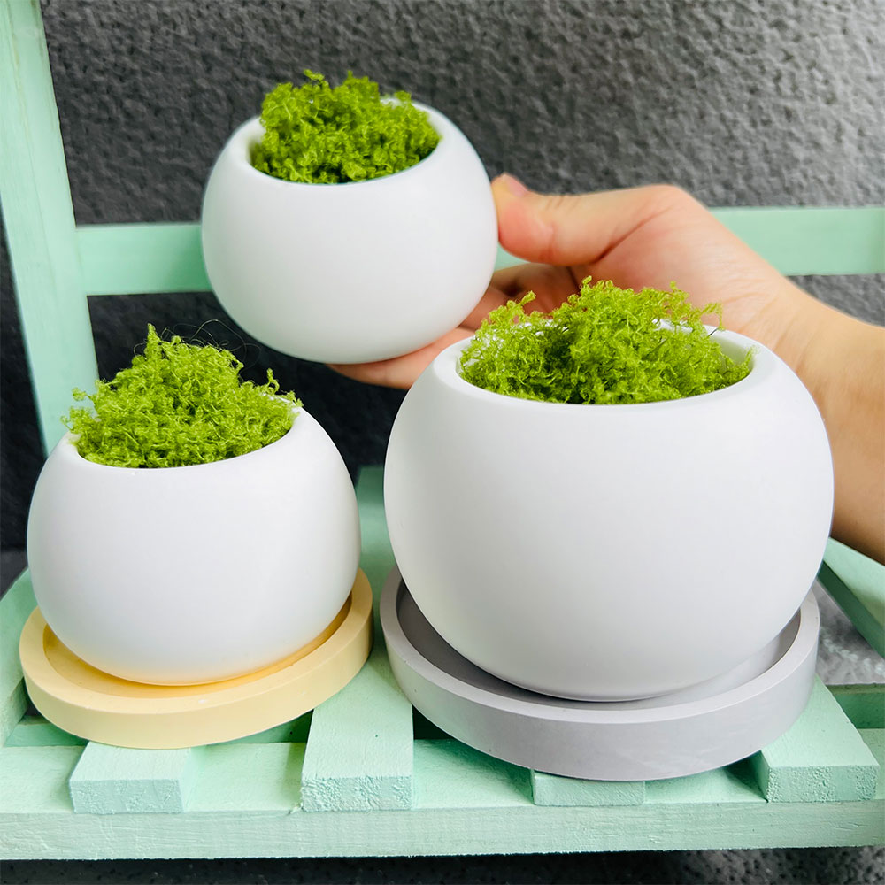 Spherical Flowerpot Silicone M - огляд і ціна Serving Tray Mold
