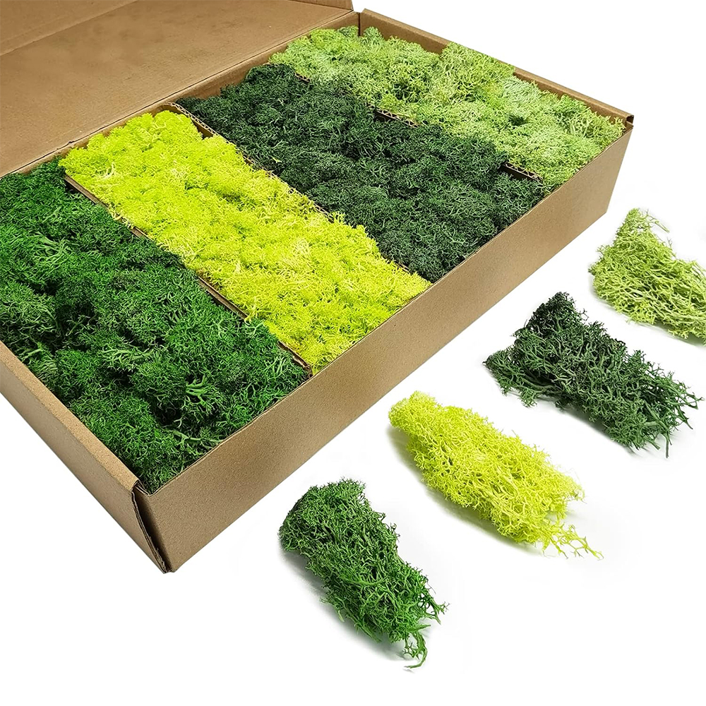Artificial Green Plants Eterna - огляд і ціна Terrarium Moss Art