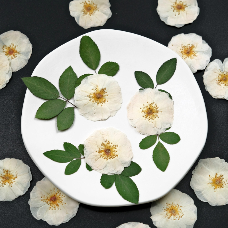 6pcs,9pcs,Nature White Rose Pr - огляд і ціна Dried Flower Bulk