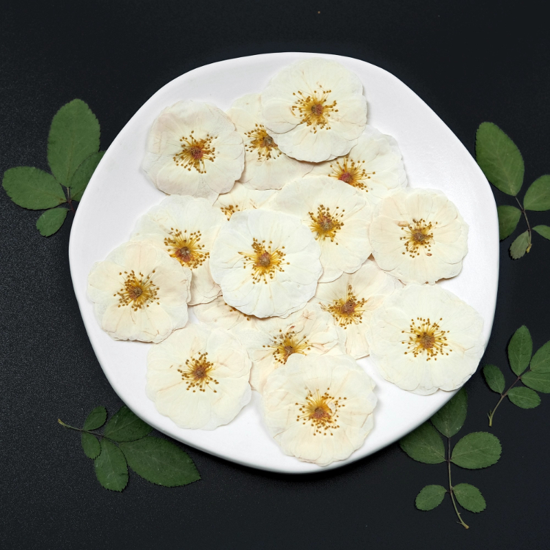 6pcs,9pcs,Nature White Rose Pr - огляд і ціна Dried Flower Bulk