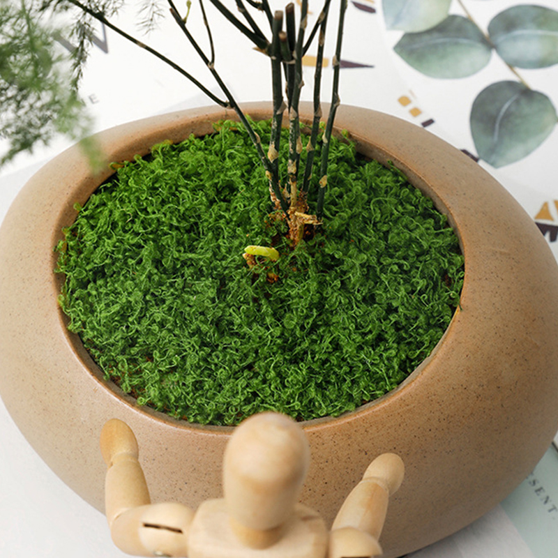 about 20g Artificial Green Pla - огляд і ціна Terrarium Moss Art