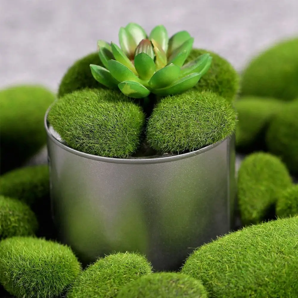 Floral Arrangements Fake Stone - огляд і ціна Terrarium Moss Art