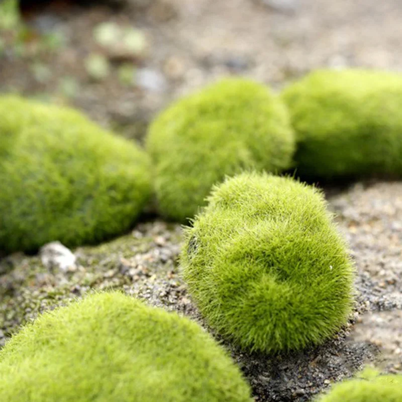 Fake Stone Artificial Moss Roc - огляд і ціна Terrarium Moss Art