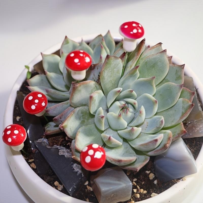 10-80PCS Mini Color Mushroom D - огляд і ціна Terrarium Moss Art