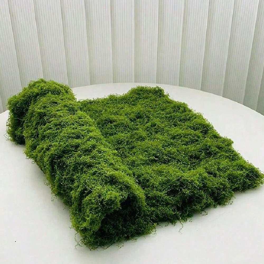 1*1m Fake Moss DIY Crafts Gras - огляд і ціна Terrarium Moss Art