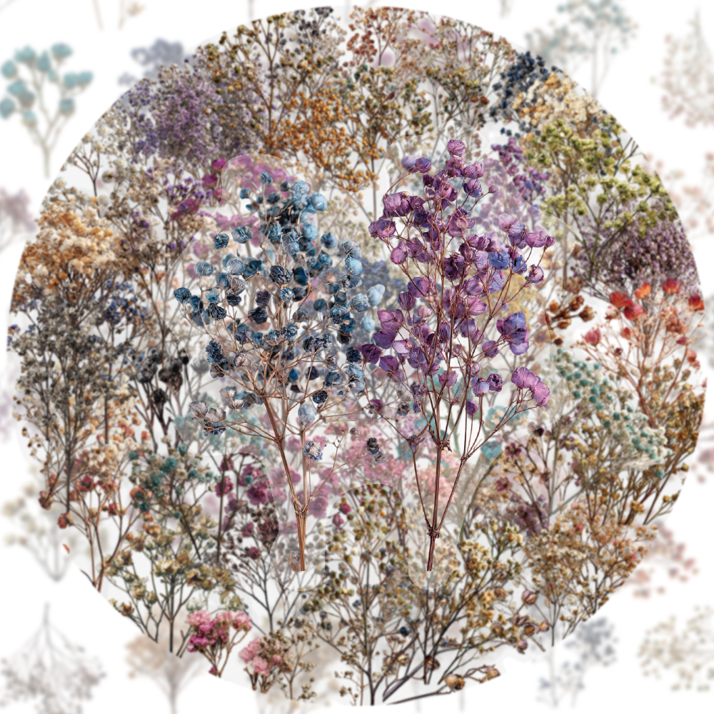 50PCS Retro Color Dried Flower - огляд і ціна Dried Flower Bulk