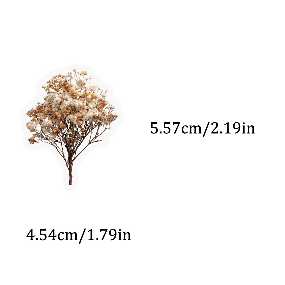 50PCS Retro Color Dried Flower - огляд і ціна Dried Flower Bulk