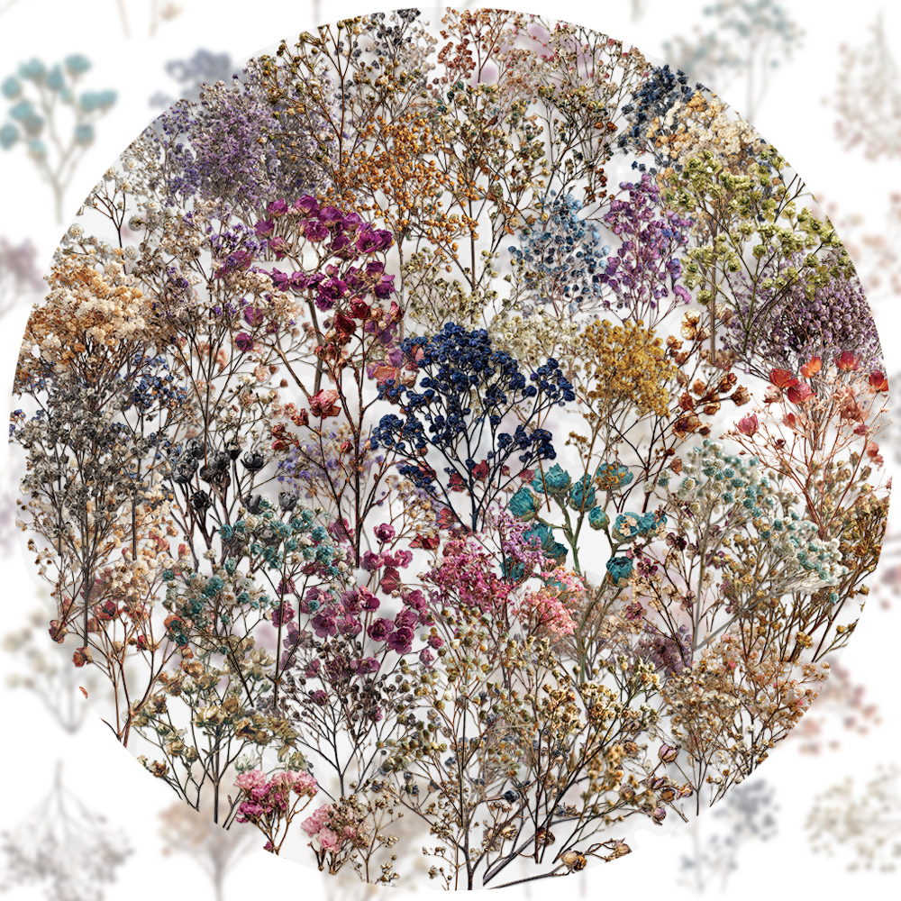 50PCS Retro Color Dried Flower - огляд і ціна Dried Flower Bulk
