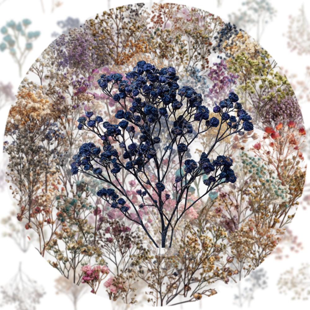 50PCS Retro Color Dried Flower - огляд і ціна Dried Flower Bulk