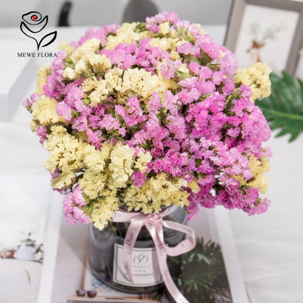 100g Dried Forget Me Not Flowe - огляд і ціна Dried Flower Bulk