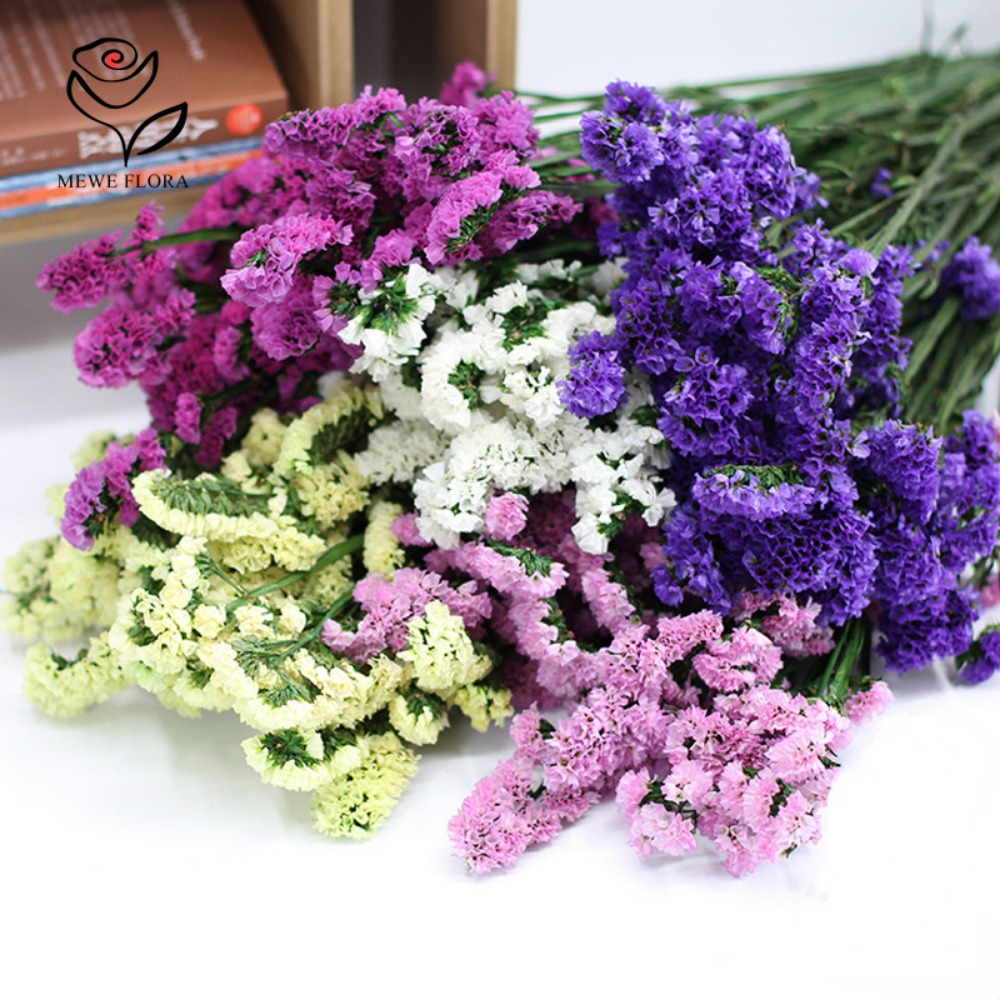 100g Dried Forget Me Not Flowe - огляд і ціна Dried Flower Bulk