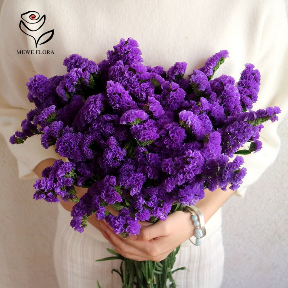 100g Dried Forget Me Not Flowe - огляд і ціна Dried Flower Bulk