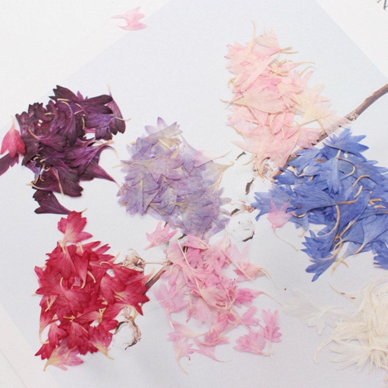 20 Plant Specimens, Cornflower - огляд і ціна Resin Jewelry Kit
