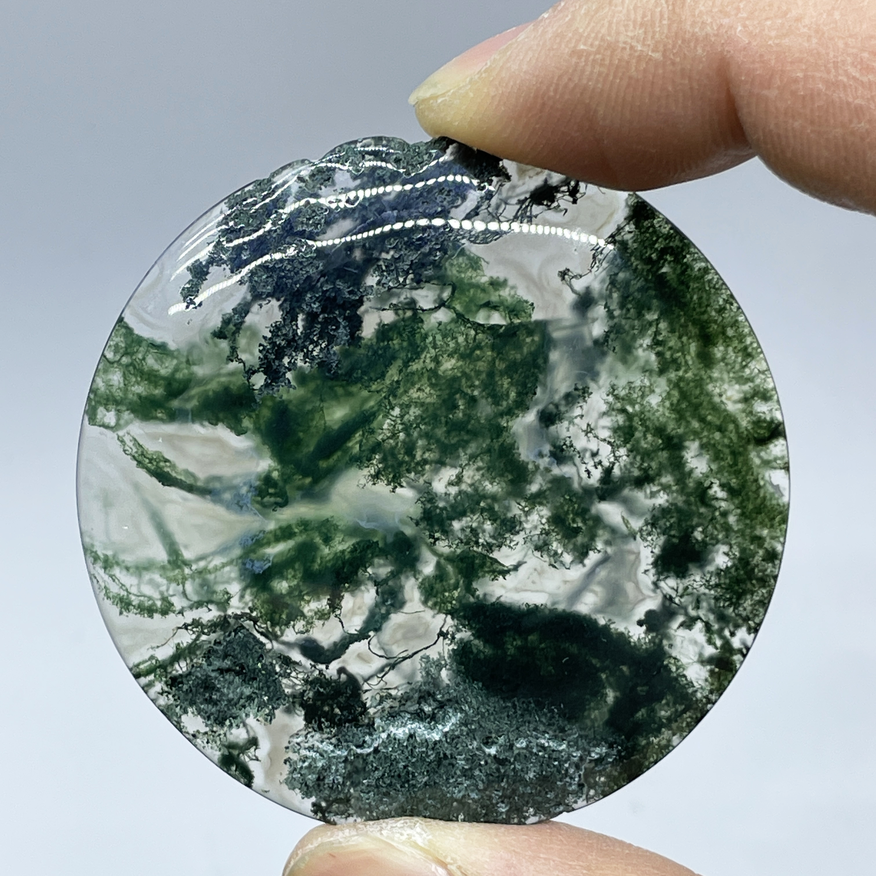 Natural Crystal Moss Agate Wat - огляд і ціна Terrarium Moss Art