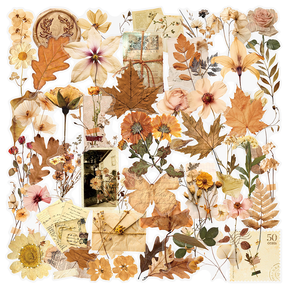 10/30/50pcs Transparent Dried  - огляд і ціна Dried Flower Bulk