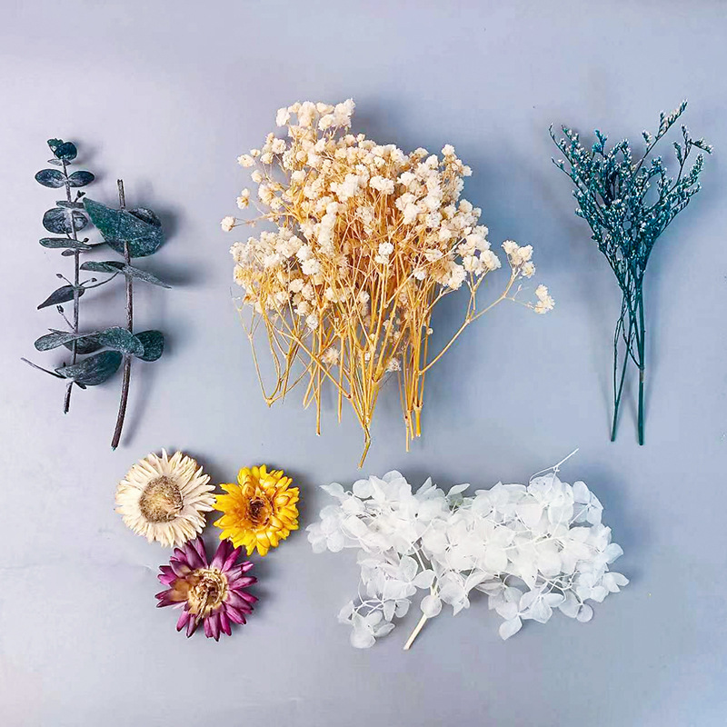 1pack Multifarious Dried Flowe - огляд і ціна Dried Flower Bulk