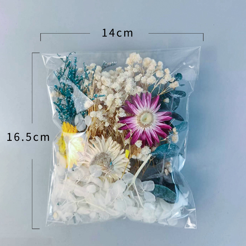 1pack Multifarious Dried Flowe - огляд і ціна Dried Flower Bulk