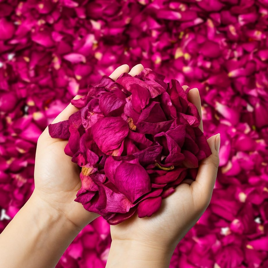 Dried Rose Petals Bulk 5oz Nat - огляд і ціна Dried Flower Bulk