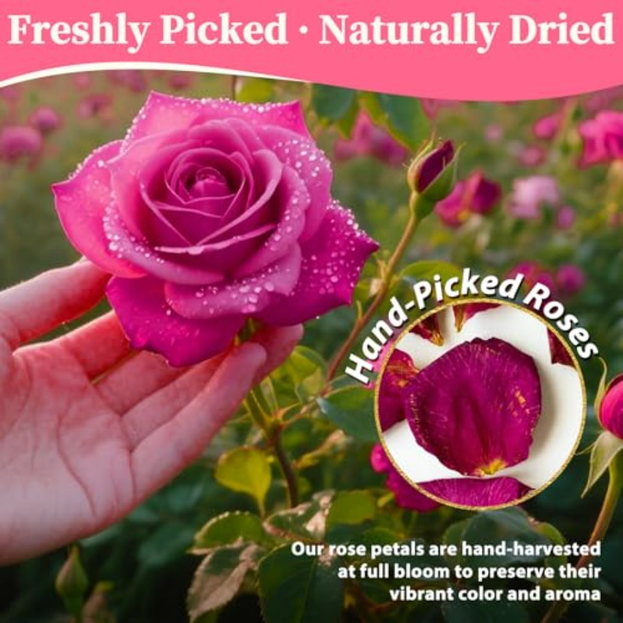 Dried Rose Petals Bulk 5oz Nat - огляд і ціна Dried Flower Bulk